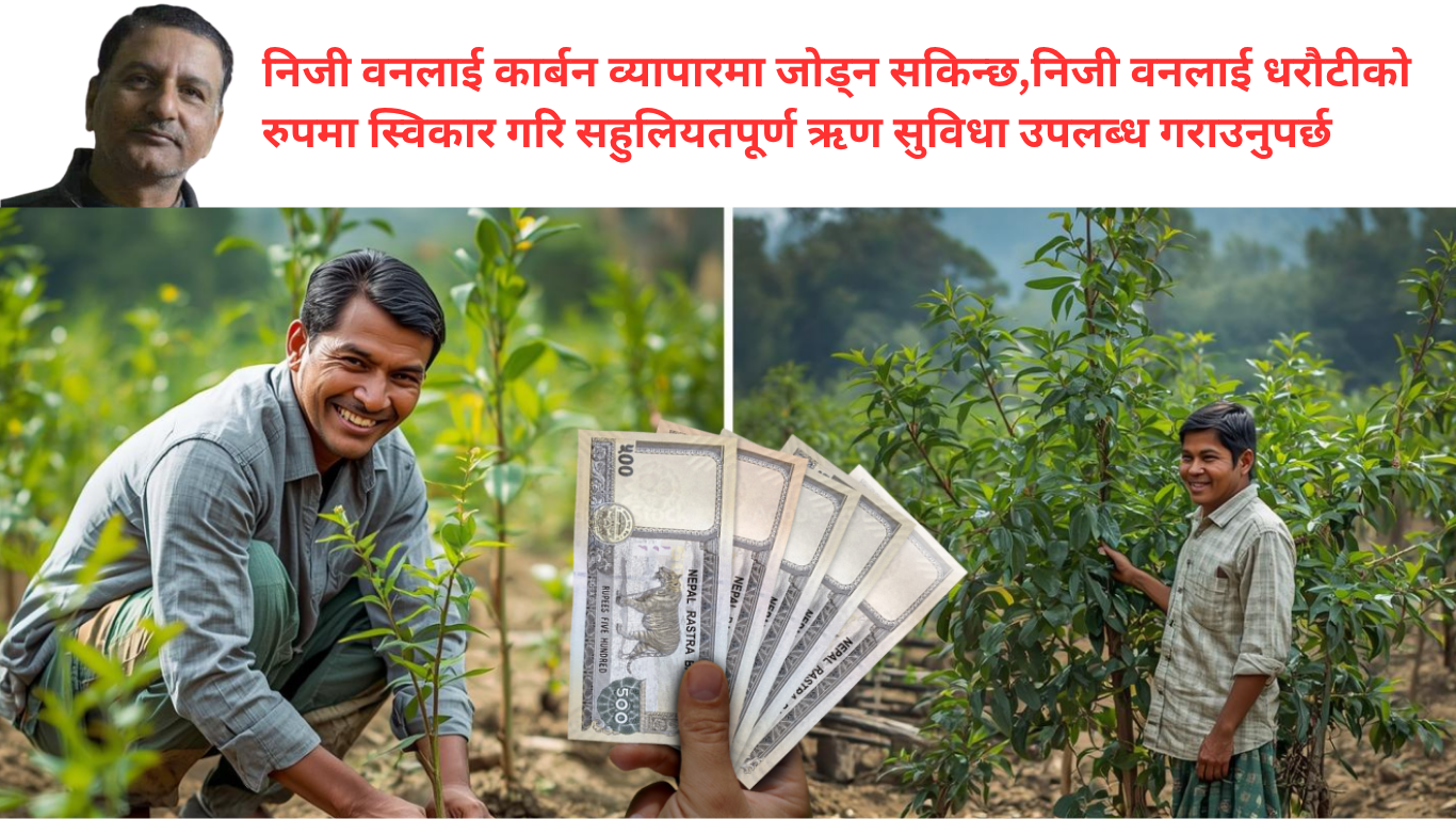 निजी वन राष्ट्रिय अर्थतन्त्रको आधार वन्न सक्दछ : सरकारकाे ध्यान यसतर्फ कहिले ?